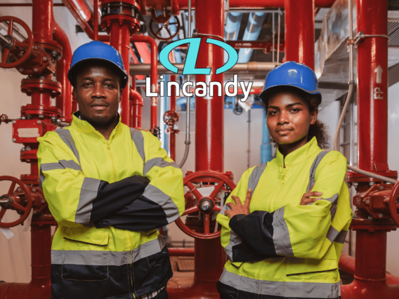 Fire Systems by Lincandy